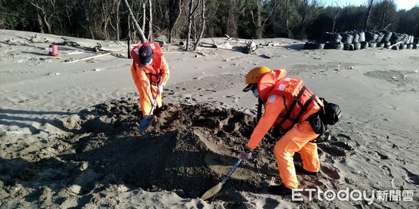 ▲台南市網仔寮沙洲有1隻鯨豚擱淺死亡，海巡人員協助將死亡鯨豚就地掩埋。（圖／記者林悅翻攝，下同）