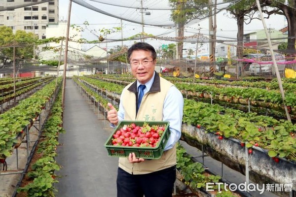 ▲台南市長黃偉哲等人，共同大力推薦台南善化草莓及草莓農特產品給全國各界，呼籲大家體驗採草莓行程，品嚐在地最新鮮的草莓。（圖／記者林悅翻攝，下同）