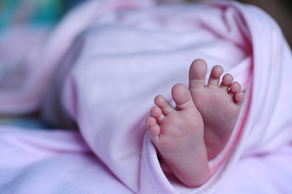 ▲嬰兒，新生兒，懷孕，小孩，寶寶，小寶貝，孩童，小生命，幼兒，baby。（圖／pixabay）