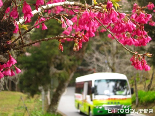 ▲阿里山電動遊園車推一日卷。（圖／林務局嘉義林區管理處提供）