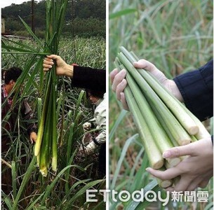茭白筍煮完變太軟？農糧署教「保水2絕招」　維生素C還比竹筍高