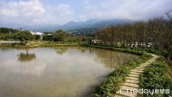 ▲ 新北生態藍帶親近自然 三芝田心子保護生態屢獲佳績。（圖／新北市農業局提供）