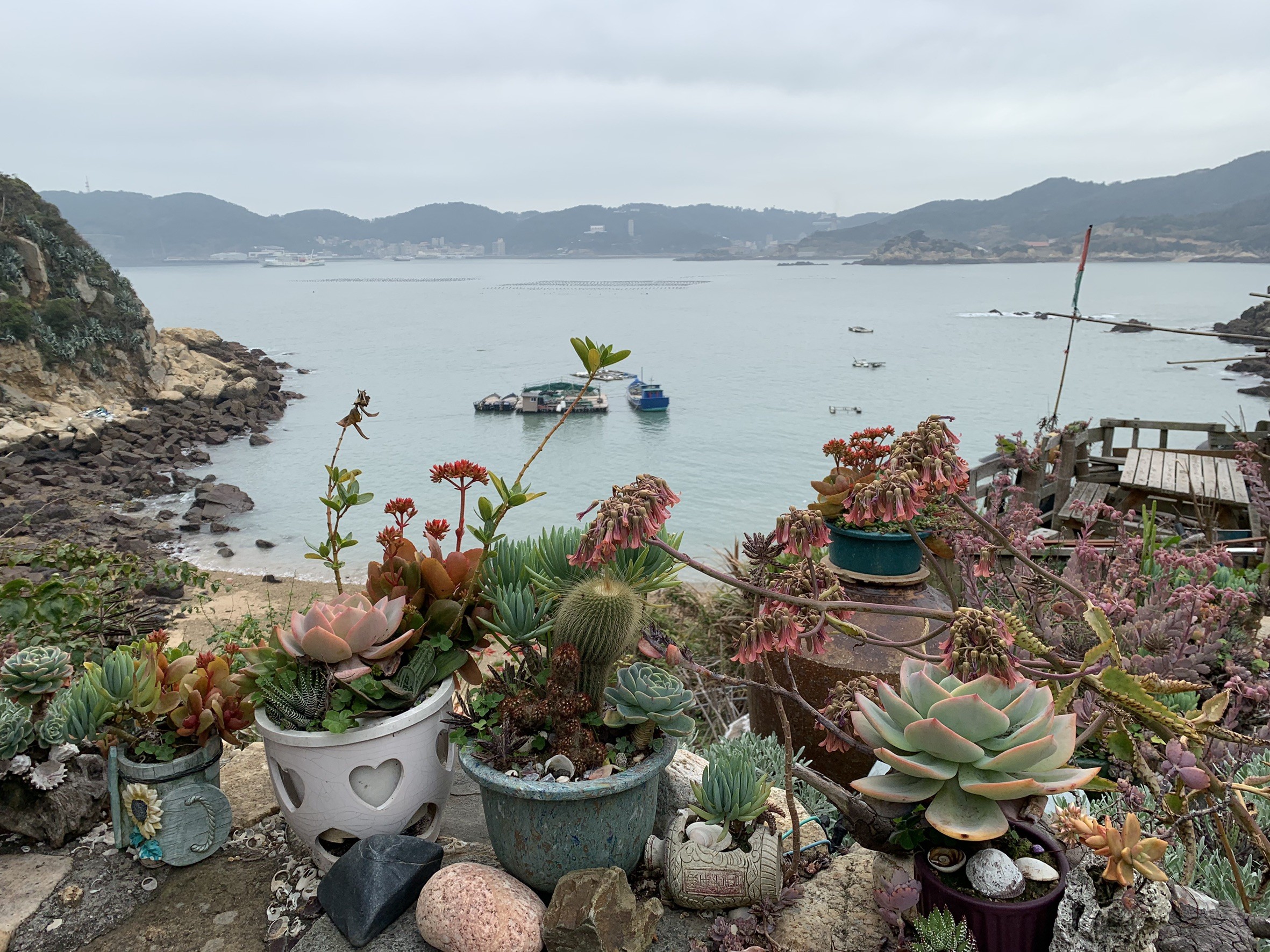 馬祖 海景咖啡 老石屋超有fu 貓狗 多肉植物陪美好寄宿 Ettoday旅遊雲 Ettoday新聞雲