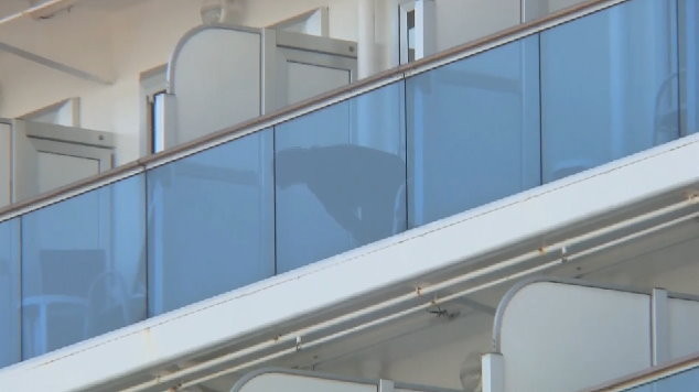 鑽石公主號「咳血父子」同桌4人確診　立委林宜瑾舅舅曝防疫關鍵：他跟我見面已咳嗽。（圖／東森新聞）