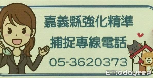 ▲動物竄出致發生車禍事件頻繁 請汽機車駕駛人多加留意。（圖／記者翁伊森攝）