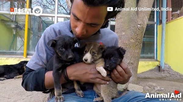 ▲志工緊緊擁抱救下的小狗們，期許牠們過得健康快樂。