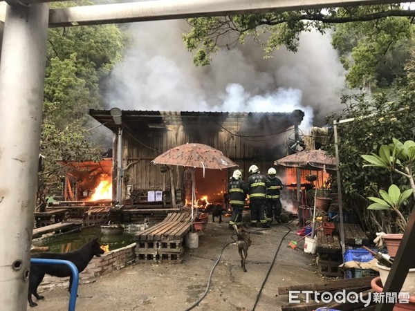 ▲▼新竹吳書宇狗園突爆火災。（圖／李榮峰授權提供）