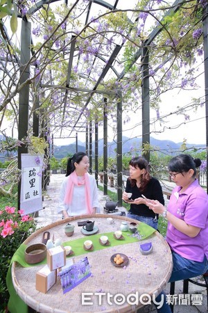 ▲阿里山春季茶之旅伴花季茶香去旅行。（圖／記者翁伊森翻攝）