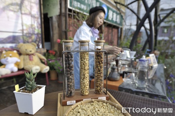 ▲阿里山春季茶之旅伴花季茶香去旅行。（圖／記者翁伊森翻攝）