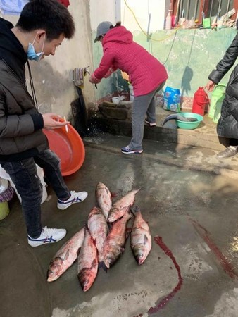 ▲▼劉順順一家意外被困荊門老家。（圖／翻攝自楚天都市報）