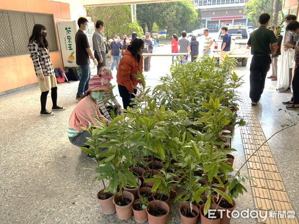 ▲嘉大森林週苗木大方送  種子文創展現自然之美        。（圖／記者翁伊森翻攝）