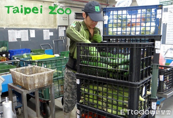 ▲上百斤食物到1公克都有！動物園「客製化」餐車，減少11280個塑膠袋。（圖／臺北動物園提供。）
