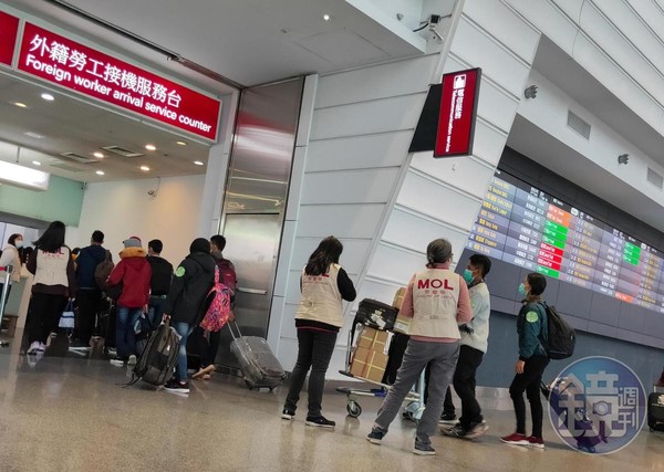 本刊直擊移工抵台後，身穿寫有「MOL」背心的勞動部人員將他們帶到外籍勞工接機服務台，進行講習宣導。