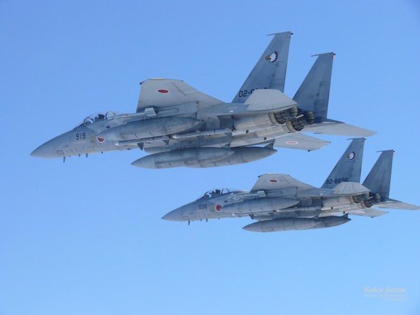 ▲南西航空方面隊的攔截次數最多，圖為該方面隊的第204飛行隊F-15J。（圖／航空自衛隊）