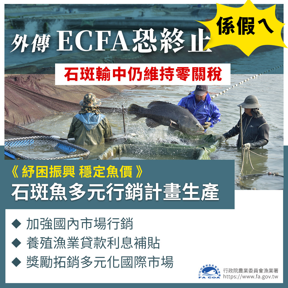 ▲▼漁業署澄清ECFA沒有終止疑慮，因應疫情推紓困振興措施穩定魚價。（圖／漁業署提供）