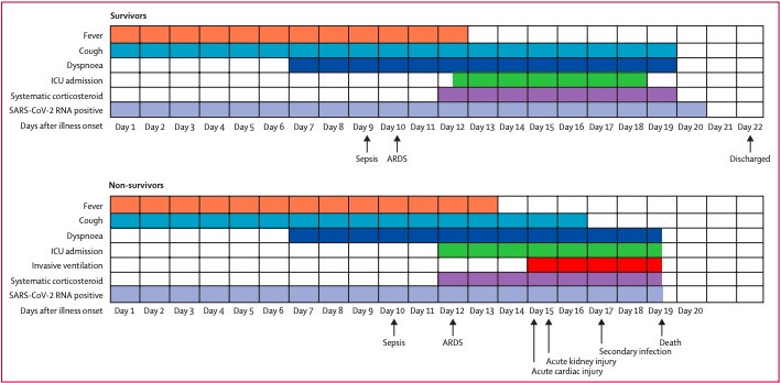 ▲圖中顯示了倖存的和死亡的新冠肺炎住院患者的主要症狀、結局和病毒排毒時間等臨床病程。還有主要症狀的中位持續時間、並發症的開始時間和結果。。（圖／翻攝自澎湃新聞）
