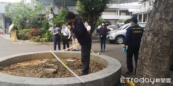 ▲▼ 樹倒壓死人            。（圖／記者洪正達攝）