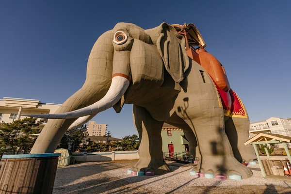 ▲Airbnb美國紐澤西州海岸邊的大象房。（圖／Airbnb提供。）