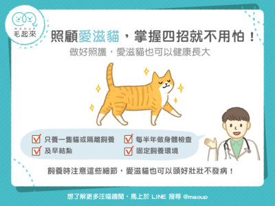 貓咪討厭的4種氣味！不避開會中毒  雲論 ETtoday新聞雲