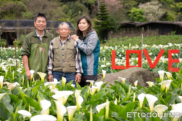 ▲▼2020竹子湖海芋季及繡球花季-財福海芋園。（圖／記者周宸亘攝）