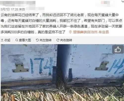 ▲▼疫情衝擊，養蜂人無法轉場生存，蜜蜂缺糧、無法授粉死亡，牽動農作物生長。（圖／翻攝壹讀、每日人物）