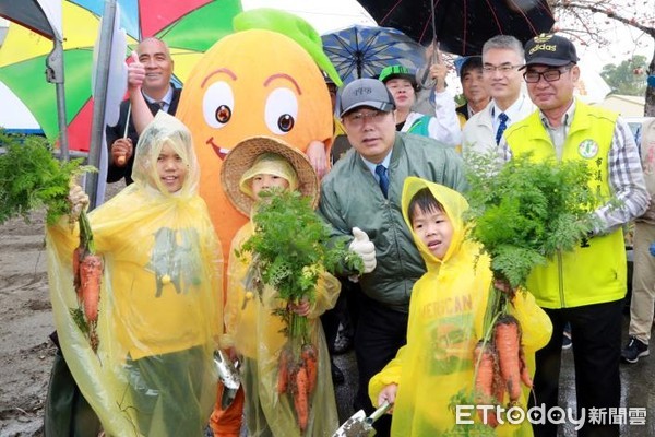▲台南將軍辦「2020將軍區紅蘿蔔木棉爭鮮搶豔同樂會」，台南市長黃偉哲親與民眾一起體驗拔蘿蔔樂趣，並全力行銷紅蘿蔔。（圖／記者林悅翻攝，下同）