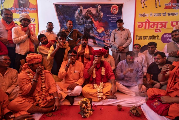 ▲▼印度宗教團體14日在德里的聚會中，200名信徒一起喝下牛尿。（圖／路透社）