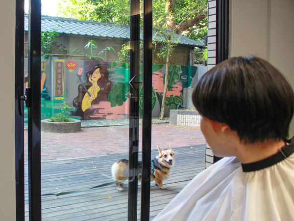 ▲▼IG爆紅「寵物友善髮廊」落點青田街             。（圖／品牌提供）