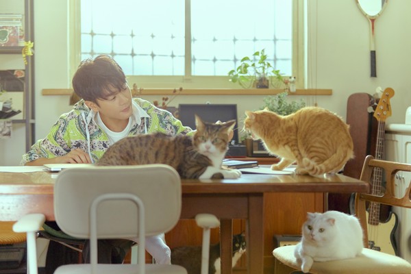▲▼ 韋禮安在新歌MV演出私下和貓咪相處的日常。（圖／The Orchard提供）