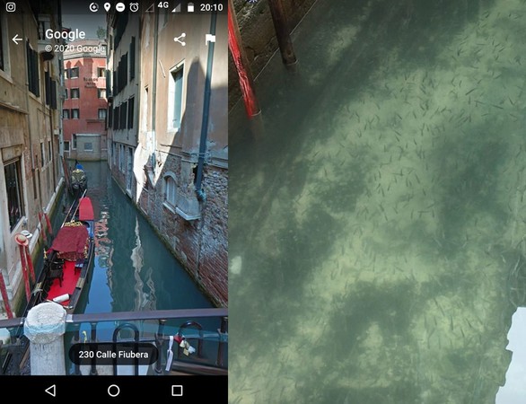 遊客數量驟降，威尼斯的運河變清澈（圖／翻攝自Facebook社團「VENEZIA PULITA」）