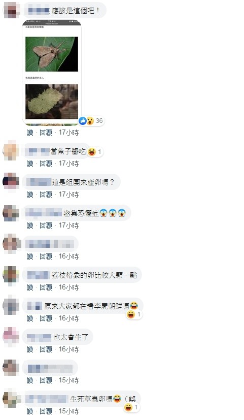 ▲▼妹子曬衣服「海量密集綠蟲卵」不是荔枝椿象　網曝有毒：快燒掉（圖／翻攝臉書爆廢公社）