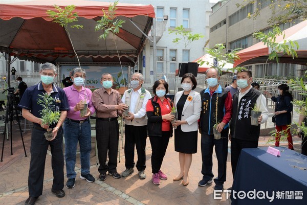 ▲雲林縣長張麗善、虎尾鎮長丁學忠及林務局南投林區管理處副處長張獻仁，邀請雲林鄉親們一同於3 月 21 日參與「2020 森活大樹聚-虎尾植樹同遊」植樹活動，現場備有苗木共 1200 株供民眾領取。（圖／記者蔡佩旻攝）