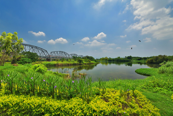 ▲▼高雄,大樹,別墅,舊鐵橋濕地公園,峻葳,德旺,林子森,林伯諭。（圖／業者提供）