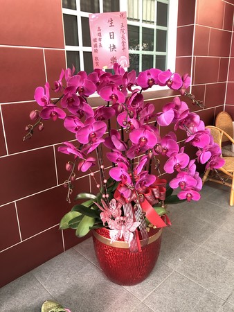 ▲▼韓國瑜送王金平祝壽花籃。（圖／讀者提供）