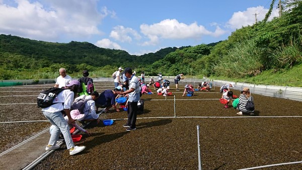 ▲小墾丁渡假村。（圖／小墾丁渡假村）