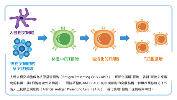 工研院仿生多突狀磁珠製備技術 抗癌新星勇奪愛迪生獎 | ETtoday財經雲 | ETtoday新聞雲