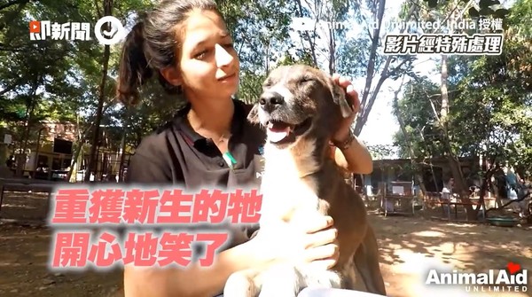 ▲▼馬歇爾。（圖／即新聞／Animal Aid Unlimited, India授權提供）