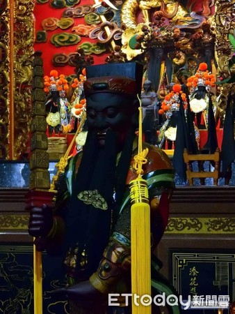 ▲▼受鎮宮神蝶。（圖／漫步在雲端的阿里山黃源明提供）