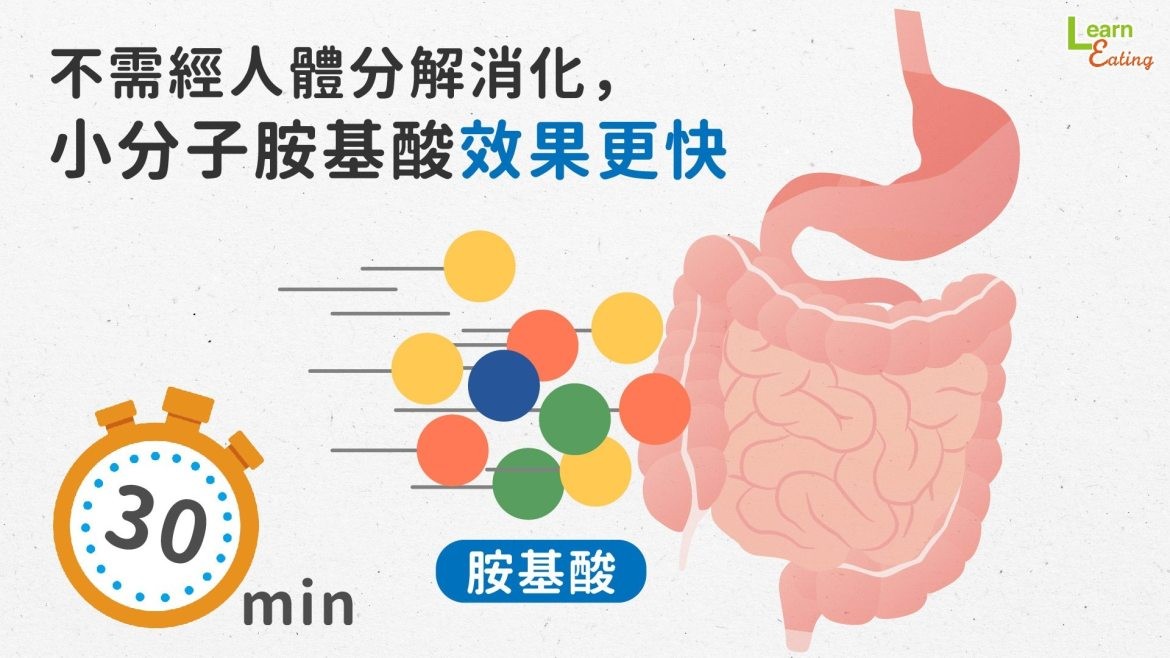 除了蛋白質之外，運動族群更該注意我們吃到的是什麼胺基酸！。（圖／好食課）