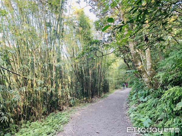 ▲▼宜蘭抹茶山，五峰旗山。（圖／記者蔡玟君攝）