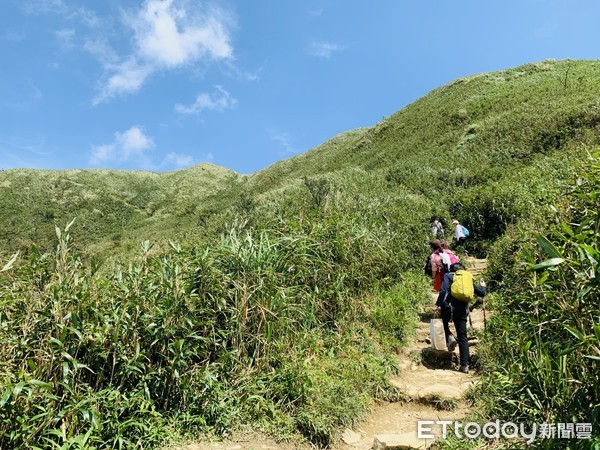 ▲▼宜蘭抹茶山，五峰旗山。（圖／記者蔡玟君攝）