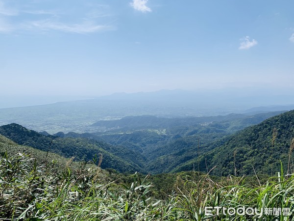 ▲▼宜蘭抹茶山，五峰旗山。（圖／記者蔡玟君攝）