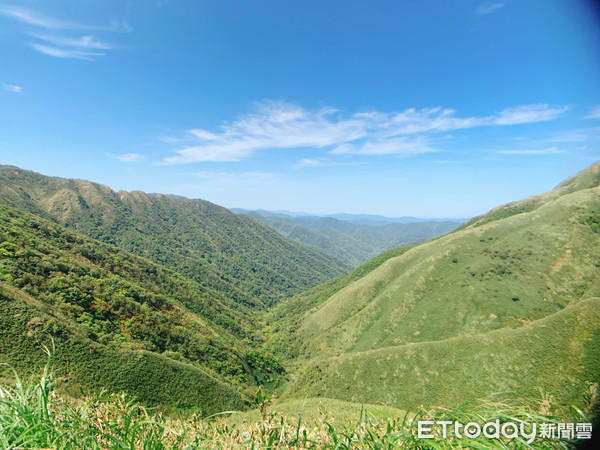 ▲▼宜蘭抹茶山，五峰旗山。（圖／記者蔡玟君攝）