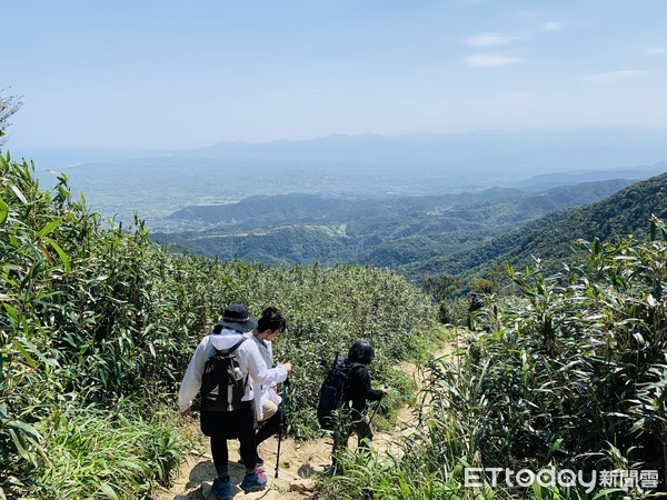 ▲▼宜蘭抹茶山，五峰旗山。（圖／記者蔡玟君攝）