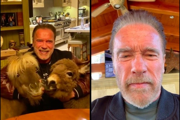 ▲▼阿諾史瓦辛格（Arnold Schwarzenegger）才呼籲大家「宅在家」防疫，卻被發現上街騎自行車趴趴走。（圖／翻攝自IG、推特）