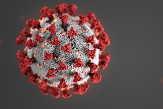 美國最新研究指出，武漢肺炎病毒並非人為製造，而是自然演化而來。（翻攝自cdc.gov）
