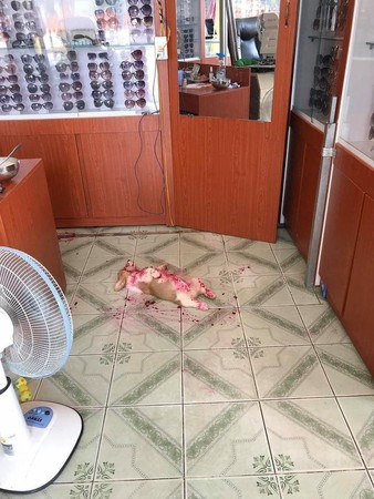 毛小孩吃完果醬以為是兇案現場（圖／翻攝自reddit@u/Sahil1200）