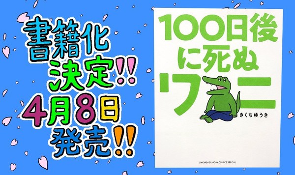 ▲▼《100日後就會死鱷魚》爆紅，卻火速遭到網友批評「被騙了」。（圖／翻攝自推特）