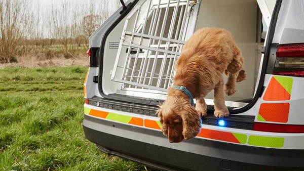 ▲Skoda Kodiaq警車讓警犬出勤也舒適。（圖／翻攝自Skoda）