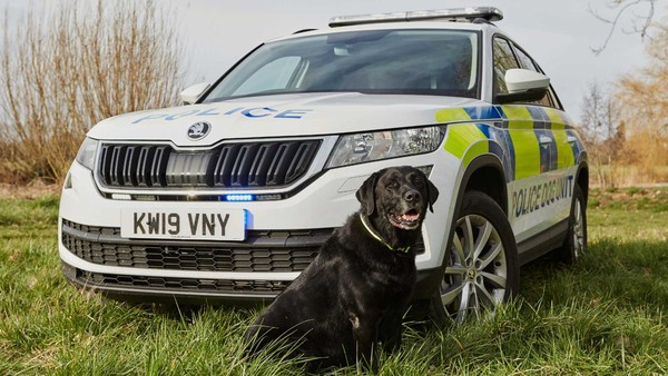 ▲Skoda Kodiaq警車讓警犬出勤也舒適。（圖／翻攝自Skoda）